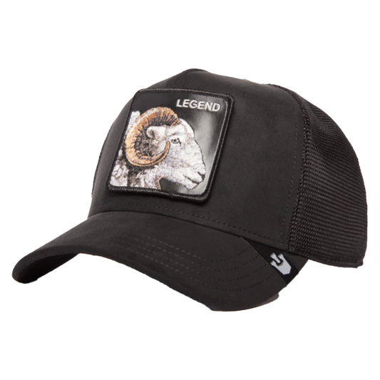 GORRA GOORIN THE SUADE RAM
