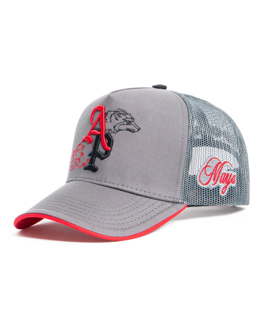 GORRA AP CROWN LUMI GRIS
