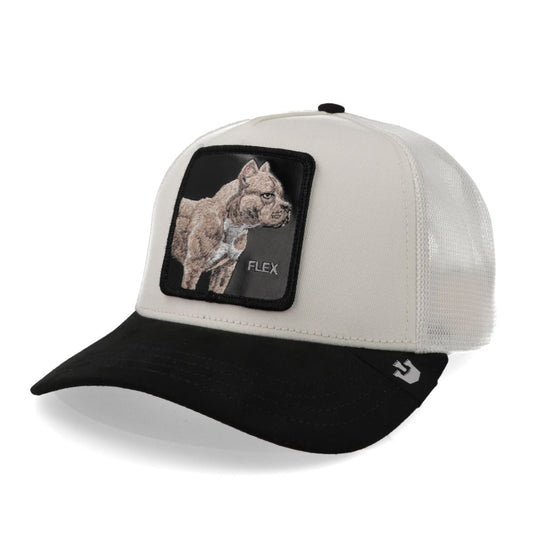 GORRA GOORIN THE SUEDE PITBULL CREME