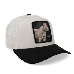 GORRA GOORIN THE SUEDE PITBULL CREME