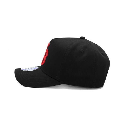 GORRA KINGS BRED THE BRED