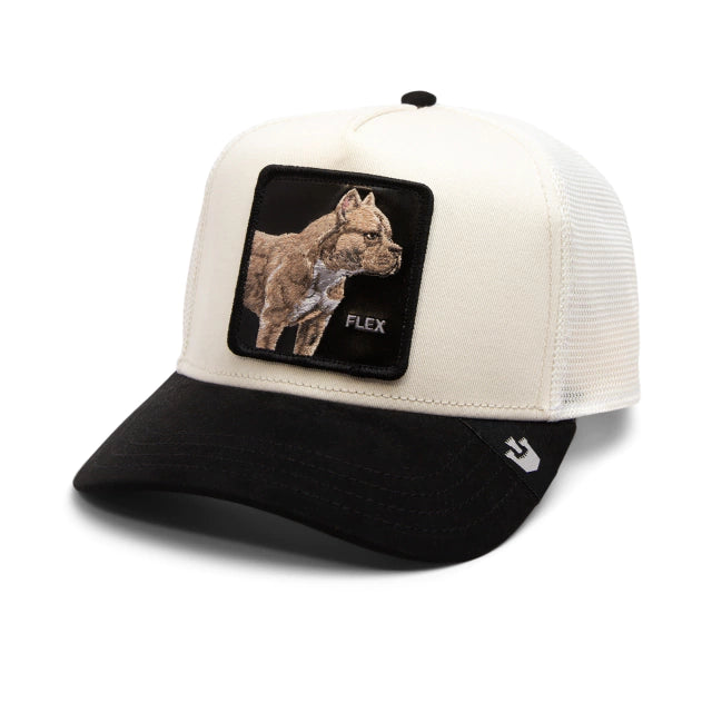 GORRA GOORIN THE SUEDE PITBULL