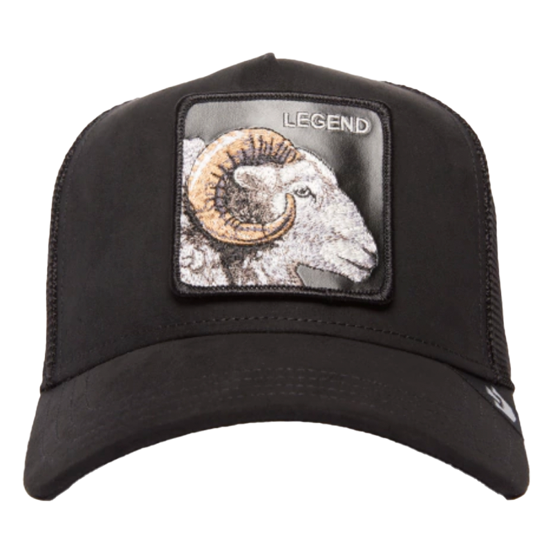 GORRA GOORIN THE SUADE RAM