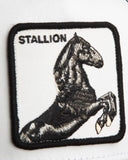 GORRA GOORIN STALLION TRUCKER BLACK 101-2451