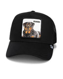 GORRA GOORIN THE GUARD DOG BLACK 101-1767 GUARD