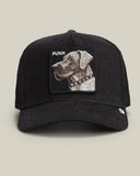 GORRA GOORIN TRUCKER PUNK 101 2705 BLACK PERRO CON PIEDRAS 1.jpg