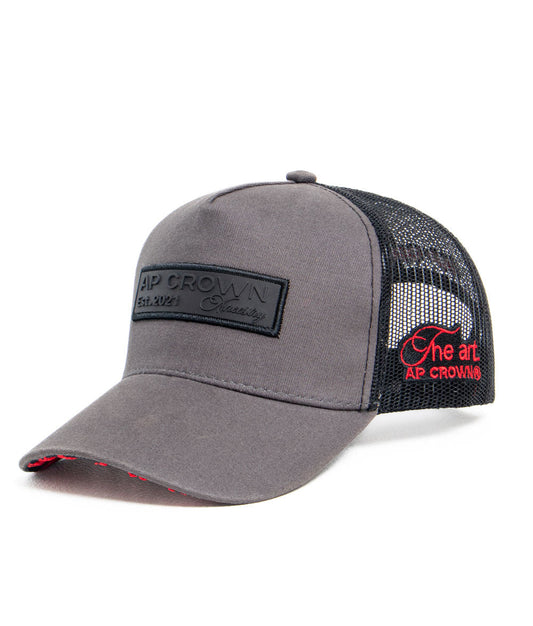 GORRA AP CROWN ENTI GRIS