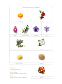 PERFUME ILMIN IL MEXICO 30ML