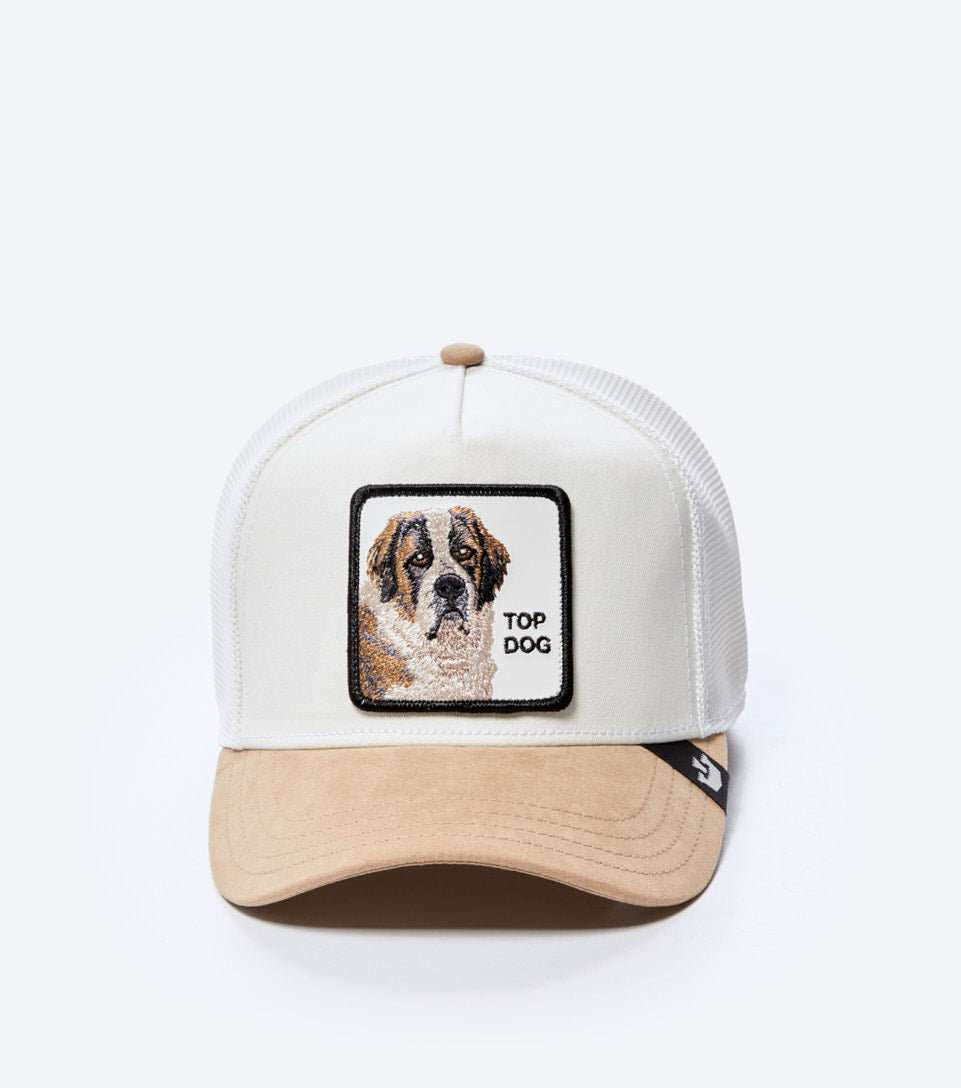 GORRA GOORIN THE SUEDE ST BERNARD