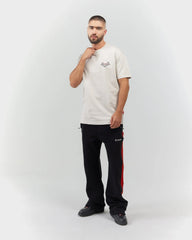 CAMISETA CLEMONT RADIOSITA SILVER