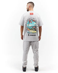 CAMISETA CLEMONT ECLATANTE GRIS