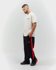 CAMISETA CLEMONT RADIOSITA SILVER